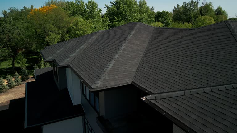 Best Roof Moss and Algae Removal  in San Jacinto, CA