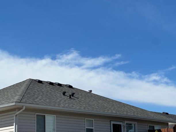 Best Asphalt Shingles Roofing  in San Jacinto, CA